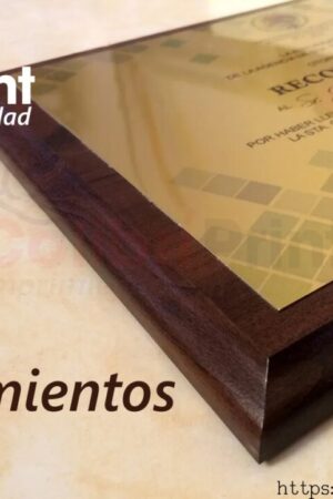 Placa reconocimiento