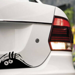 Calca Fantasma Para Auto