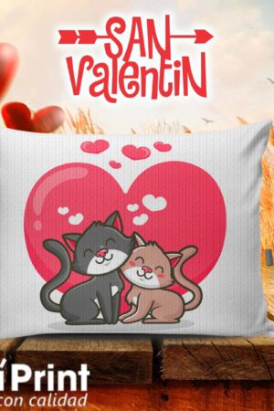 Almohada de Gatitos, Amor y Amistad