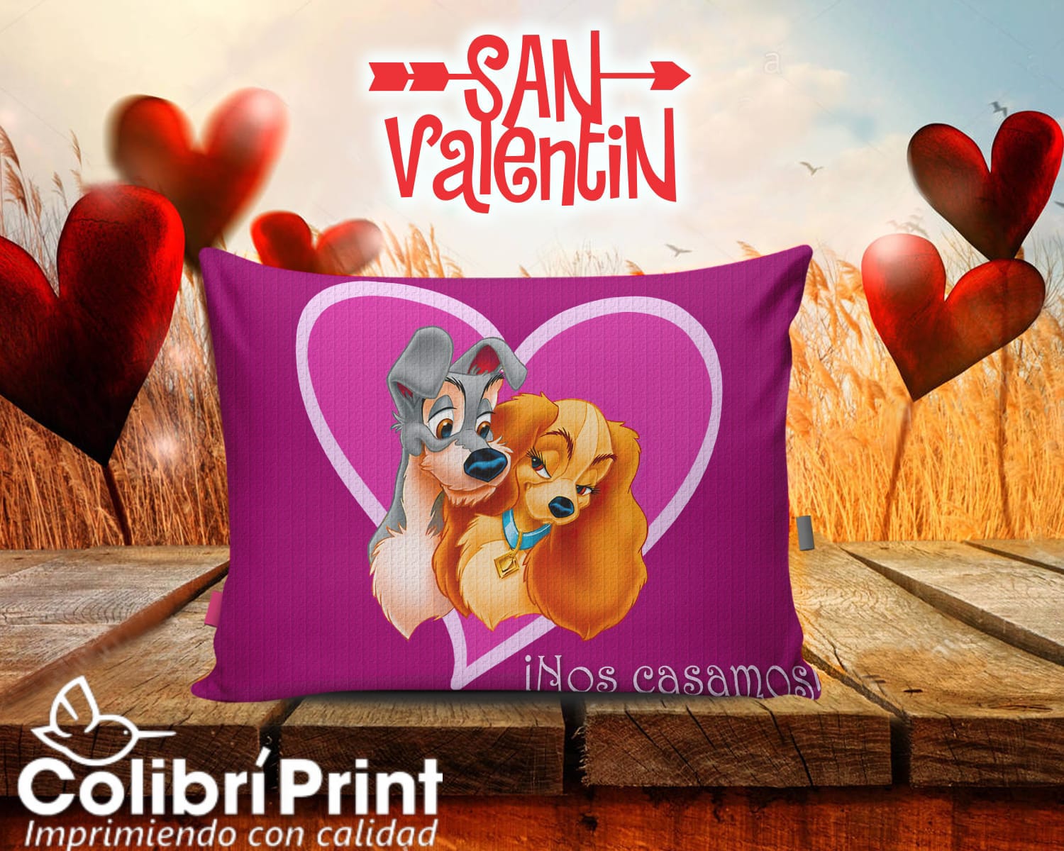 Almohada de La dama y el vagabundo, Amor y Amistad