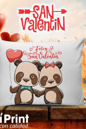 Cojín de Ositos, Amor y Amistad