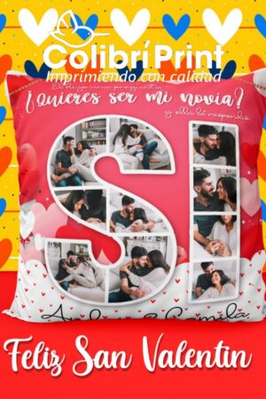 Cojín "Quieres ser mi novia?"